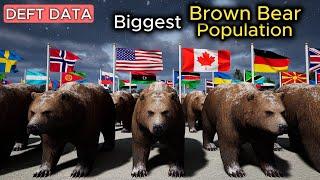 Brown Bear Population by Country  3D COMPARISON