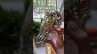 GROW YOUR OWN FRESH SPROUTS! so easy with just seeds and a jar