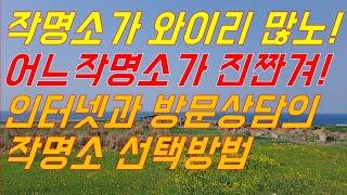 작명소가 와이리 많노! 어느작명소가 진짠겨!! 현명한 작명소 선택