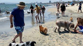 LONG BEACH CA - ROSIE'S DOG BEACH