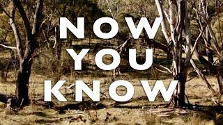 Tom Rosenthal - Now You Know (Lyric Video)