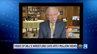 Video of Bill's wrestling cats hits 1 million views