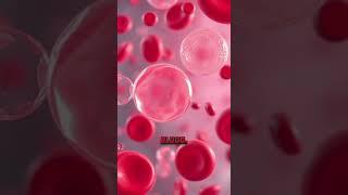 Inside the Blood Lab: What a Hematology Analyzer Reveals #Hematology #BloodTest #MedicalLab
