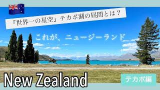 【ニュージーランド】世界一の星空テカポ湖の昼間とは？