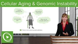 Cellular Aging and Genomic Instability: Definition & Overview – Aging | Lecturio