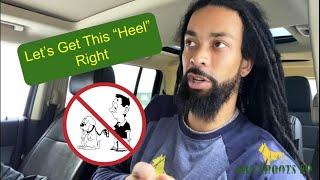 How to Fix Forging in a Heel | Grassroots K9