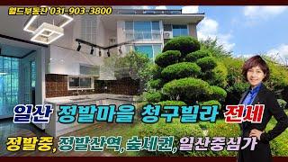 일산 정발8단지청구빌라 전세.정발중학세권+일산중심가+정발산역+숲세권을 동시에!_월드신뢰 TV_안순옥 공인중개사is213