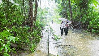 Walk in Heavy Rain & Thunderstorm Sounds | Relax and Sleep Deeply with Heavy Rain Sounds