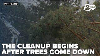 Cleanup begins as storm topples trees and lines on the day after Christmas