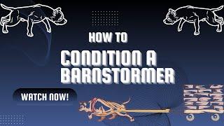 Conditioning a Barnstormer (repost)