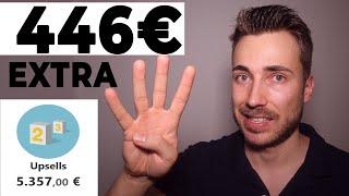 446€ EXTRA im Monat verdienen (Upsell Funnel)