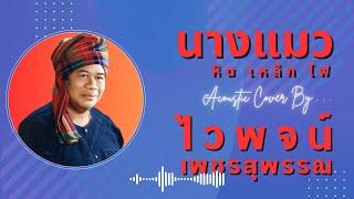 นางแมว Acoustic Cover - ไวพจน์ เพชรสุพรรณ (ต้นฉบับ หินเหล็กไฟ SMF)