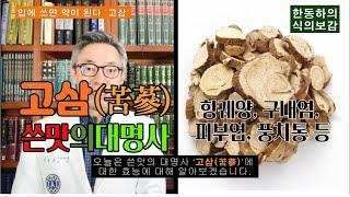 [식의보감] 입에 쓰면 약이 된다?!!! 고삼(苦蔘) - 열을 내리고 염증조절에 좋고, 항궤양, 구내염, 피부염, 치통에 좋습니다.