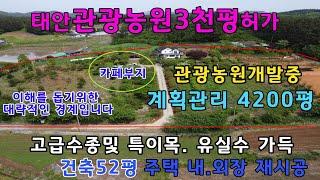 [물건번호 321번]태안 계획관리 토지및 고급스럽게 리모델링(내외장 재시공)된 주택과 3천평 관광농원허가받아 관광농원개발중입니다. 카페부지 분할되어 있으며 사업하실분 추천드립니다