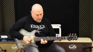 Awesome Shredding Guitar Solo Contest | Entry by Frank Steffen Mueller