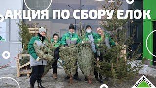 Акция по сбору новогодних елок / Помощь животным / Леруа Мерлен СПб
