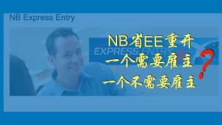 NB省EE项目新政，一个不需要雇主，一个需要雇主？【#talltalk涛声  #加拿大移民说  20190802】