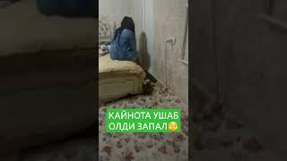 ВОДИЙДА, КАЙНИОТА, УЗ КЕЛИНИ НИ, БЕГОНА ЭРКАК БИЛАН ЖИНСИЙ АЛОКА КИЛГАН ВАКТИДА, УШЛАБ ОЛДИ, ЗАПАЛ.