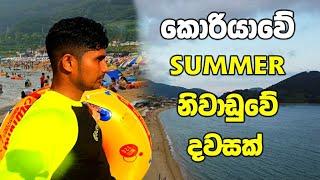 කොරියාවේ Summer නිවාඩුවේ දවසක්  korean life sinhala|summer vlog | South korea vlog sinhala  