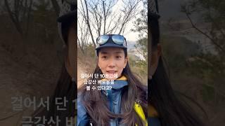 산행 10분만에 '북한 금강산' 볼수있는곳! 자연에 빠진 여자가 추천하는 갓성비 산행 본 영상은 수요일에️ #shorts #등산 #갓성비 #하이킹 #자연에빠지다