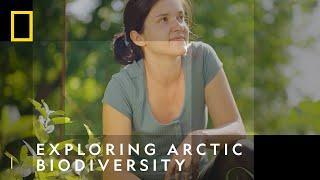 Exploring Arctic Biodiversity With Gergana Daskalova | National Geographic UK