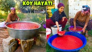 KÖY EVİMİZ Organik Doğal Domates Salça Yapımı