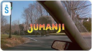 Jumanji (1995) | Scene: Traffic