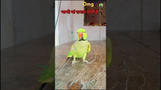 Mithu ka fullfunny video #shortvideos#reelsviral#manish#chhaila#bihari#official#comedy