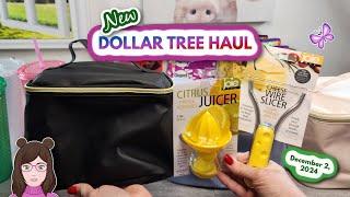 Awesome DOLLAR TREE HAUL!  New Finds!! December 2, 2024