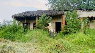 Weeds Growing Everywhere ~ This Genius Man Cleans and Renovates Old House into a Wonderful Place