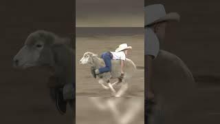 Kids riding sheep at a bull riding event!