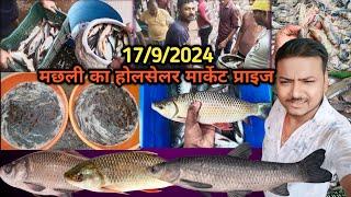 मछली मार्केट होलसेलर प्राइज मंगलवार के दिन मछली का होलसेलर रेट|fish market #sagarpurniavlog