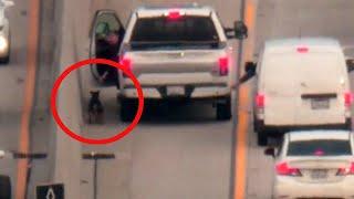 Good Samaritan Rescues Dog on Freeway