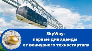 SkyWay: первые дивиденды от венчурного техностартапа