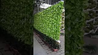 Rotatable hydroponic system