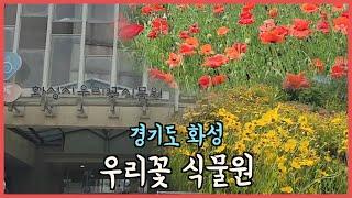 경기도 화성 ⎟ 우리꽃 식물원에서 힐링하고 왔어요 