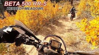 Single Track BETA 500-RRS 2021 Review [ Best Dual Sport ] vs KTM 500 exc-f or Husqvarna FE501