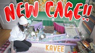 Guinea Pig Cage Set Up & Review : KAVEE CAGES