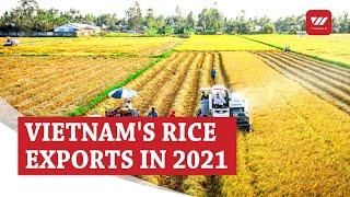 Vietnam's rice exports enjoy opportunities for breakthrough in 2021 | VTV World