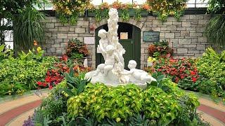 Incredible Orchids, Succulents, and Tropical Plants at Niagara Parks Floral Showhouse