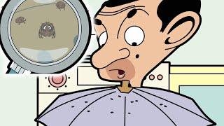 Mr Bean's Flea Infestation | Mr Bean Animated | Clip Compilation | Mr Bean Cartoon World