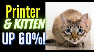 Kitten.Finance Up 60% & Printer.Finance Up 66%!!!