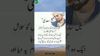 Hikayat E saadi | #hikayaturdu #shortvideo #viralvideo #vtuber #fyp #top #quotes