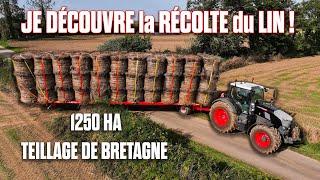  RÉCOLTE de 1250HA de LIN avec TEILLAGE de BRETAGNE : UNE JOURNÉE DE FOLIE ! 