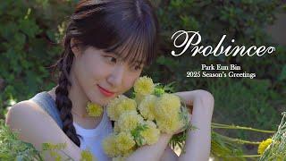 박은빈 2025 SEASON'S GREETINGS [Probince] Teaser Video