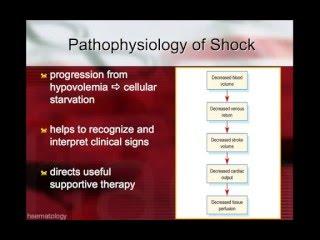 The understanding and management of shock - part 1