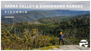 The Sights and Sounds of Yarra Valley & Dandenong Ranges