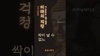 미래의 걱정을 내려놓아라(憂慮放下) | 부처님말씀 | 석가모니명언 | 인생지혜 | 명상의말씀
