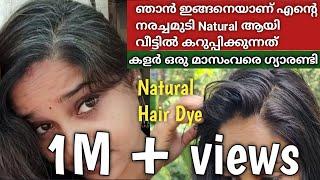 Natural Hairdye at home % Result for all #natural #hairdye #athome #inmalayalam #prematuregreyhair