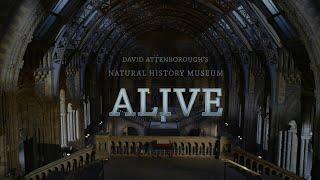 David Attenborough's Natural History Museum Alive (2014)